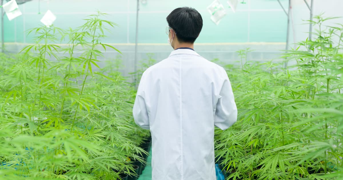 Pennsylvania Bill Proposes Medical Cannabis Coverage in Workers' Compensation