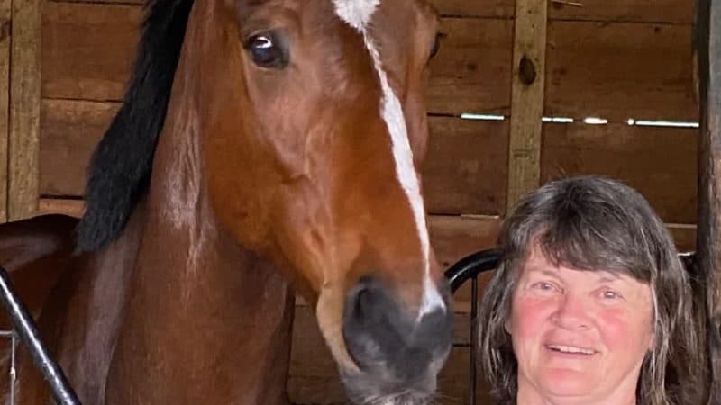 Thoroughbred Aftercare: A Growing Priority for Horse Racing Industry Stakeholders