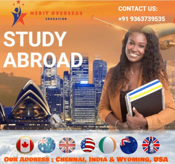 Merit Teacher Expands Educational Services with DMIT Testing and Psychometric Assessments