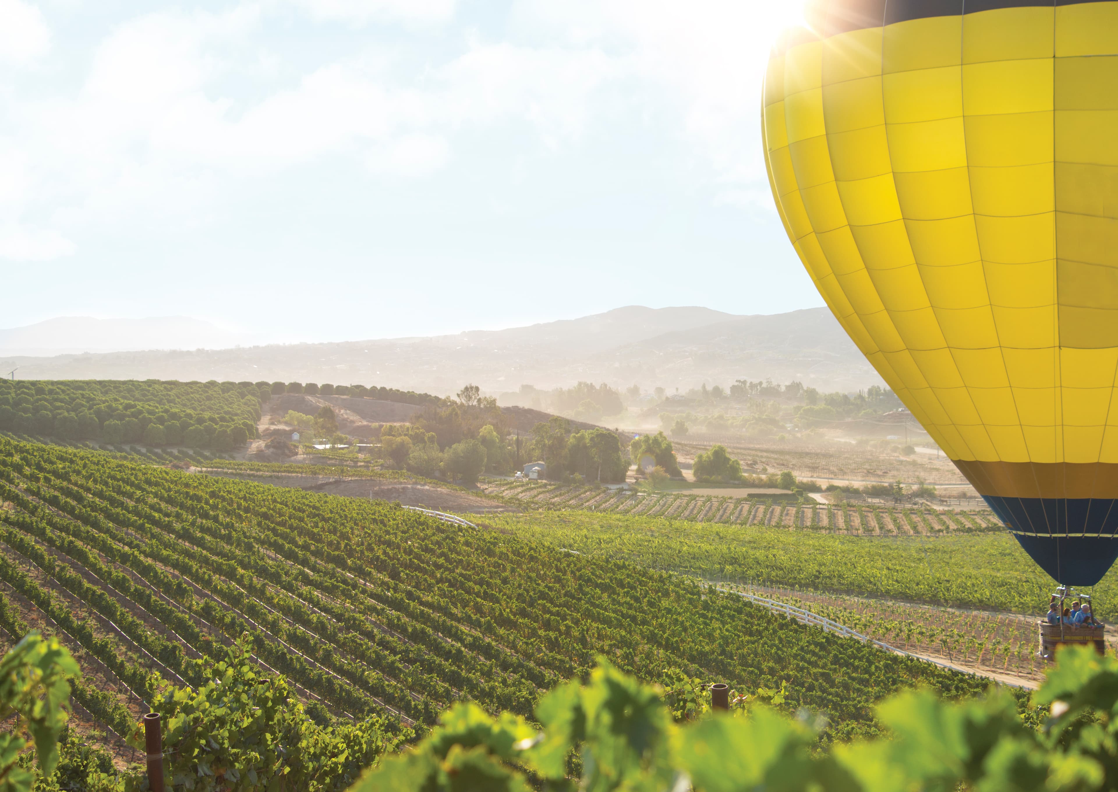 Southern California Wine Country EDC Highlights Veteran Workforce as Key Driver for Regional Economic Growth