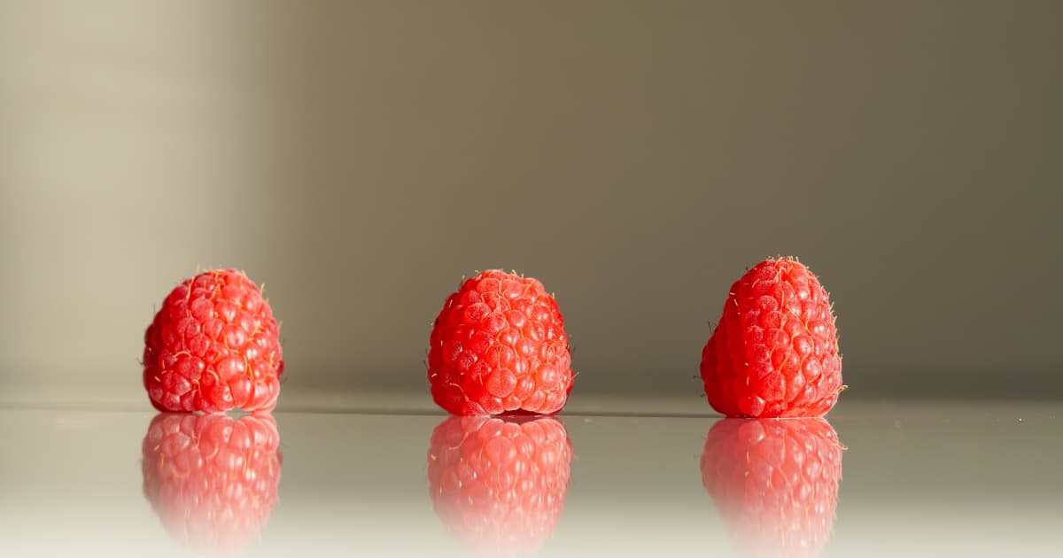 Veterans Join Virtue Recovery Team to Expand Support for Military Community Facing Addiction and Mental Health Challenges